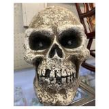 Animated Skull