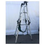 Aluminum Folding Extension Ladder