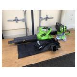 2-Greenworks Cordless Chainsaws