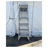 6 ft Heavy Duty Folding Extension Ladder