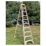 10 Ft. Werner Fiberglass Step Ladder