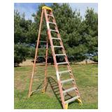12 Ft. Werner Fiberglass Step Ladder