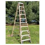 10 Ft. Werner Fiberglass Step Ladder