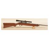 Ruger 10/22 .22 LR Rifle