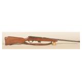 Glenfield Mod. 25 .22 Rifle