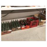 Beverage Bottles and Carriers