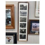 Framed Photograph of Cape Buffalo