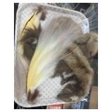 Minks and Tail Feathers