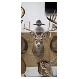Taxidermy 8-pt Whitetail Deer