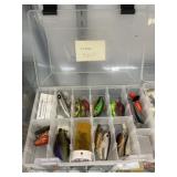 Artificial Lures