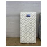 Single Box Spring & Mattress