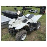 Childs 4-Wheeler