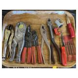 Pliers w/ Wire Cutters & Vise Grips