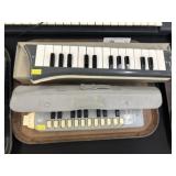 2 Melodicas
