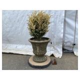 Concrete Planter