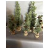 (5) Christmas Trees