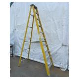 Werner FSA10 10 Ft Fiberglass Step Ladder