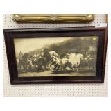 Framed Print of Stallions