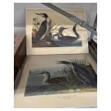 (2) Waterfowl Prints