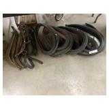 Assortment of Horse Haines & Collars
