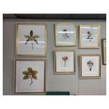 6 Framed Floral Prints
