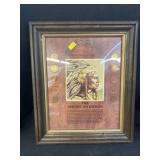 (10) Framed Indian Head Pennies