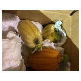 Glittery Light-Up Decorative Pumpkins