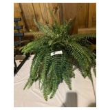 Artificial Fern