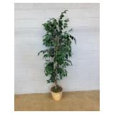Artificial Ficus Tree in Wicker Basket