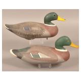 Two Mallard Drake Decoys.