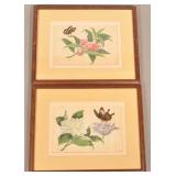 Pair of Antique Paintings on Silk.