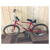 Schwinn Euro Bicycle