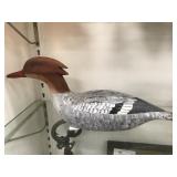 Red Breasted Merganser Hen