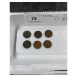 (6) Indian Head Pennies