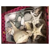 Box of Decorative Seashells