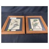 Pair of Audubon Bird Framed Prints
