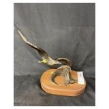 Signed Shoop 1984 Cast Sculpture Bird