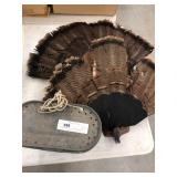 2 Wild Turkey Fans, Primitive Minnow Pail