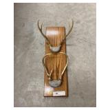 Antlers Mounted on Plaque