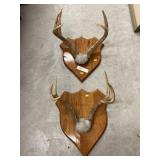 2 Sets of Antlers Mounted on Plaques