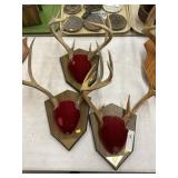 3 Antlers Mounted on Plaques