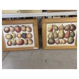 2 Framed German Fruit Prints