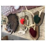 Antlers, Turkey Fan, etc.