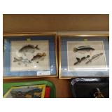 (2) Colored Prints of Fish