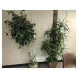 2 Various Artificial Plants/Trees