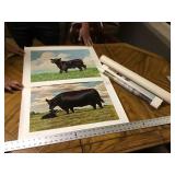 4 Murphy Angus prints