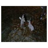 2 Concrete fawns