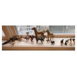 Misc animals