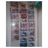 33 Cartes J. Roenick