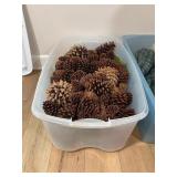 Pine Cones